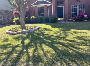 Lillian S.'s lawn service service result