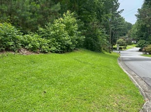 Contessa A.'s landscape maintenance service result