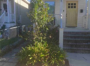 Wendy A.'s Flower Bed Weeding service result