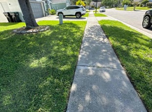 Janet R.'s residential landscaping service result