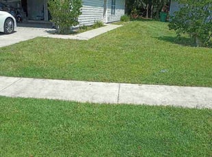 Jeannie R.'s lawn service service result