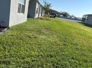 Doug P.'s turf care service result