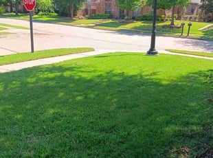 Judith D.'s lawn care services service result