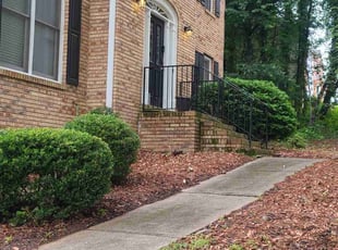 Amanda M.'s Bush Trimming service result