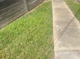 Betty K.'s lawn service service result