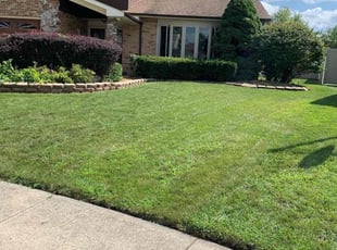 Michele M.'s lawn care services service result