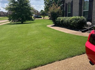 Ethan A.'s lawn service service result