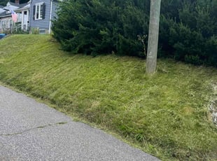 Morgan W.'s lawn maintenance service result