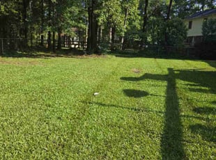 Melissa G.'s lawn care services service result