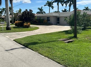 Sandra M.'s turf maintenance service result