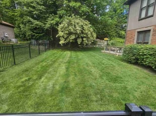 James W.'s lawn maintenance service result