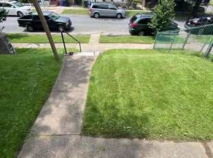 Melonnie M.'s lawn service service result