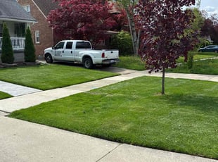 J P.'s lawn care service result