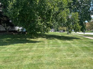 John D.'s lawn care services service result