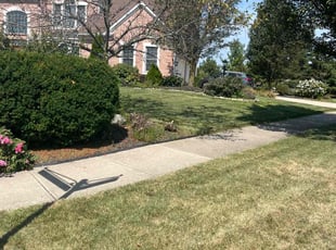 Maria S.'s lawn care service result