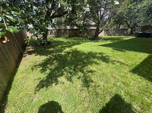 Alex C.'s grass maintenance service result