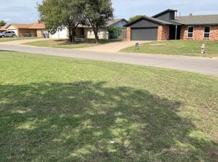 Rhonda W.'s grass maintenance service result