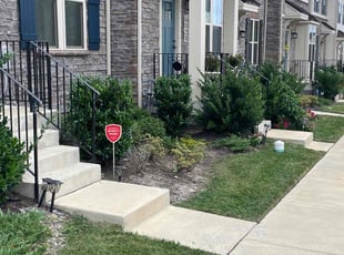 Prasanta N.'s grass cutting service result