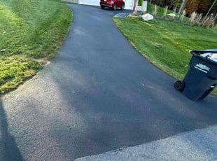 Frank L.'s turf care service result