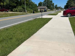 Louis M.'s grass maintenance service result