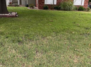 Kyle K.'s lawn care service result