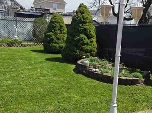 Leonard S.'s grass cutting service result