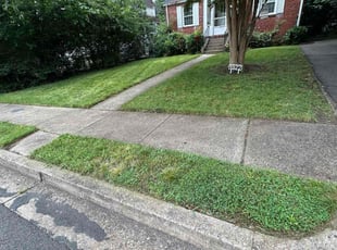 George R.'s turf care service result