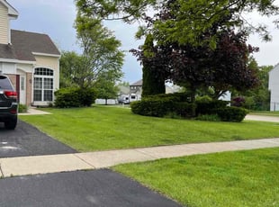 Debra W.'s lawn care service result