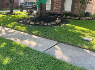 Annette H.'s grass maintenance service result