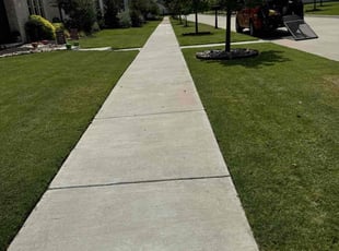 Michelle N.'s turf maintenance service result