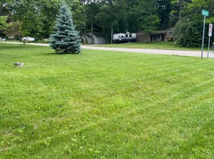 bill g.'s turf maintenance service result