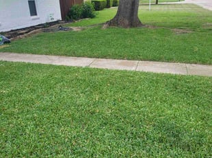 Kelly M.'s grass cutting service result