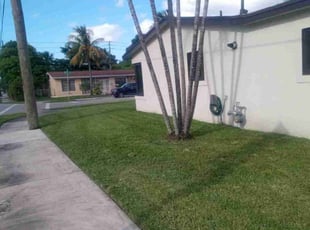 Julee G.'s Weed Pulling service result