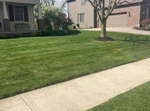 Bill E.'s grass maintenance service result