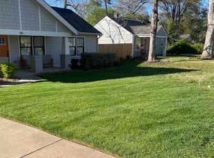Megan D.'s lawn care services service result