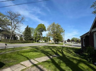 Christina T.'s grass cutting service result