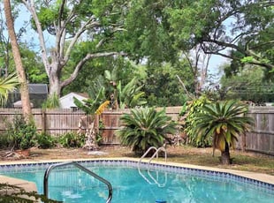 Oscar Z.'s grass cutting service result