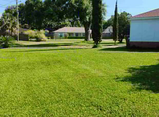 Josh J.'s lawn maintenance service result