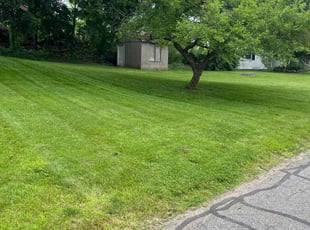 Punya G.'s lawn care service result