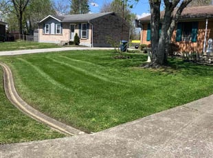 Bridget A.'s grass maintenance service result