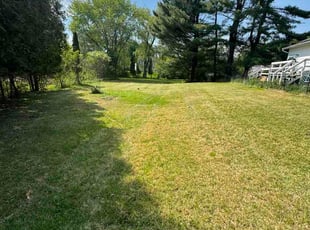 Andrew T.'s grass cutting service result