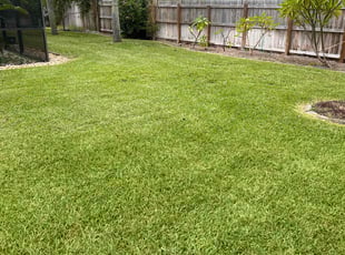 Randy R.'s lawn care service result