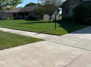 Melissa F.'s turf care service result