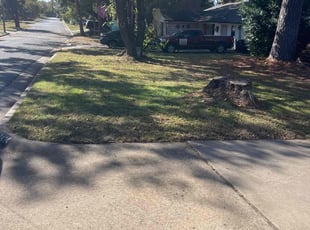 Michael G.'s grass cutting service result