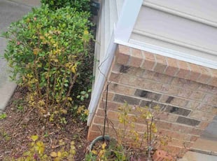 Terri E.'s Lawn Seeding service result