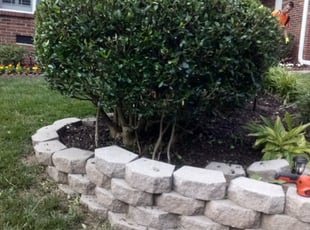 Rebecca C.'s Bush Trimming service result