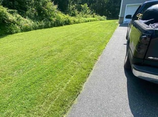 Daniel P.'s lawn care services service result