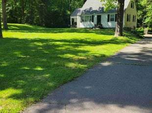 Kevin K.'s turf care service result