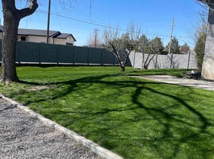 Pennee M.'s turf care service result