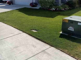 David B.'s lawn maintenance service result